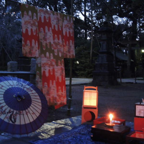 赤坂氷川神社「夜桜参り」に行ってみる？